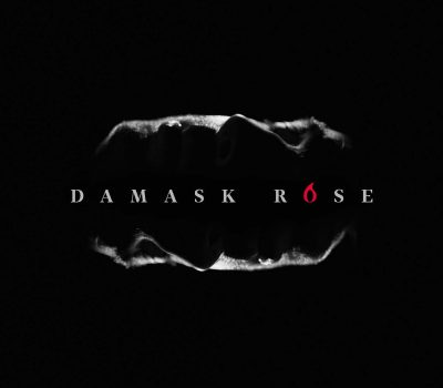 Damask_ROSE_front
